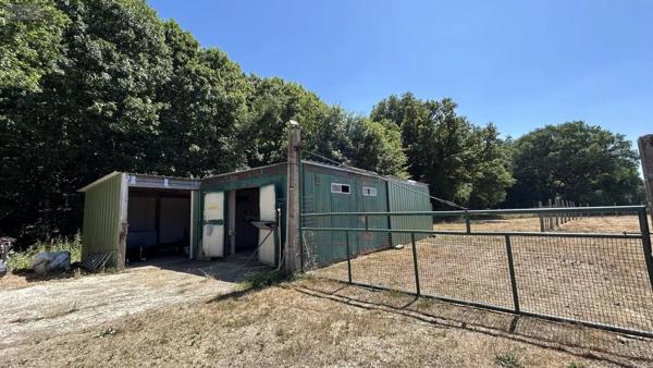 Achat - Maison Bierné-les-Villages 53290 10 pièces 200 m 2 14200 m 2