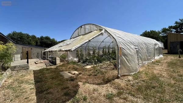 Achat - Maison Bierné-les-Villages 53290 10 pièces 200 m 2 14200 m 2