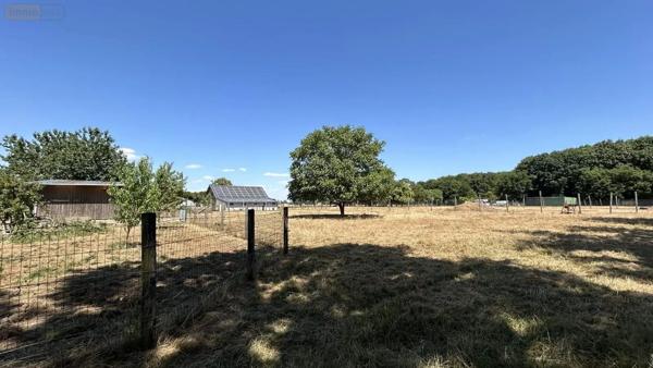 Achat - Maison Bierné-les-Villages 53290 10 pièces 200 m 2 14200 m 2