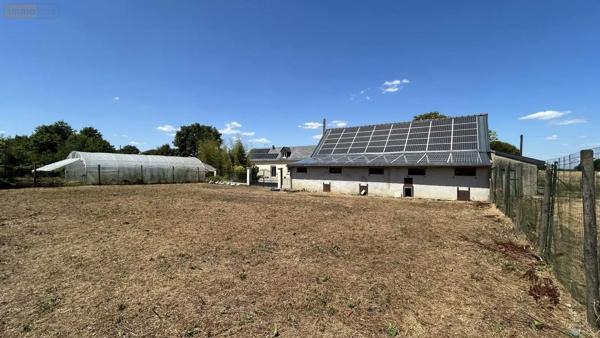 Achat - Maison Bierné-les-Villages 53290 10 pièces 200 m 2 14200 m 2