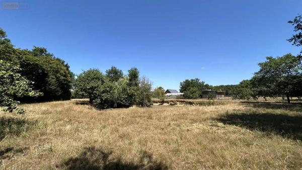 Achat - Maison Bierné-les-Villages 53290 10 pièces 200 m 2 14200 m 2