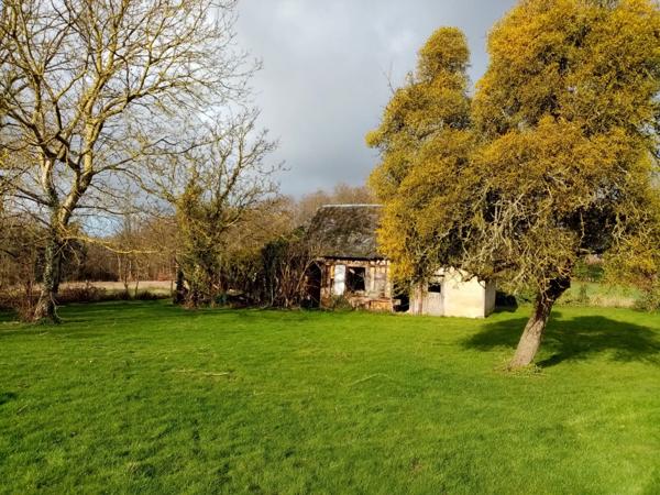 Dpt Seine Maritime (76), à vendre proche de HERICOURT EN CAUX terrain