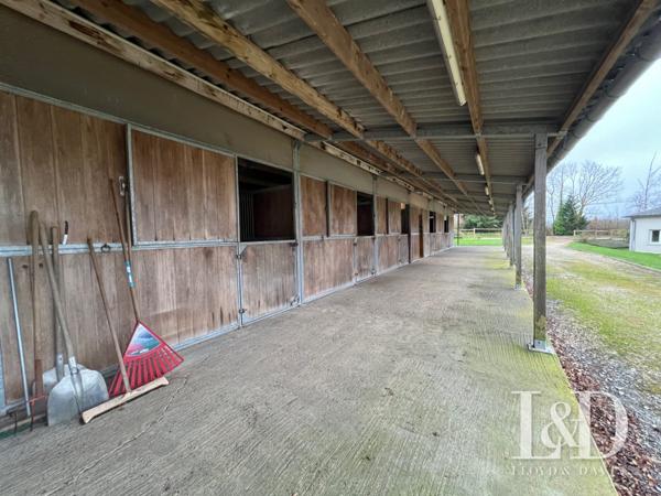 Maison de standing de plain pied et équipements équestres