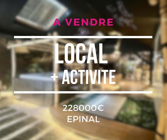 Loft Epinal + activité rémunératrice.