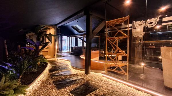 Loft Epinal + activité rémunératrice.