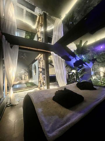 Loft Epinal + activité rémunératrice.