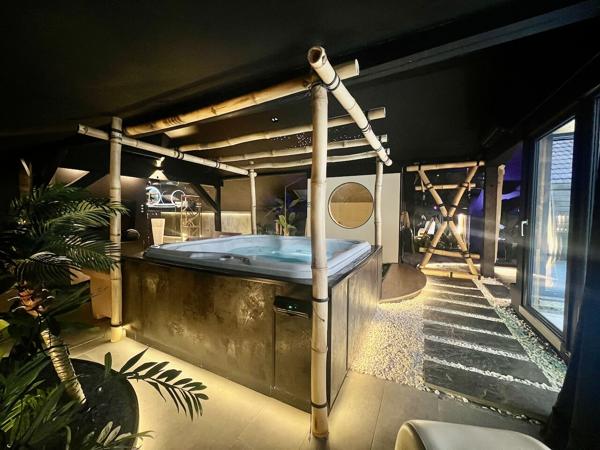 Loft Epinal + activité rémunératrice.