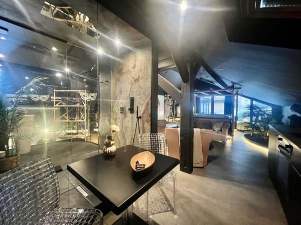 Loft Epinal + activité rémunératrice.