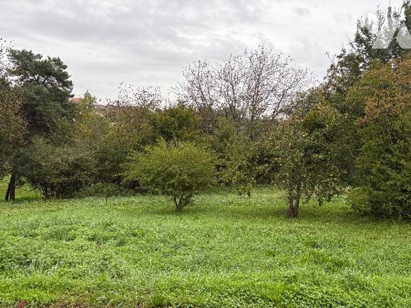 Terrain constructible à CHEMAUDIN ET VAUX (25320)