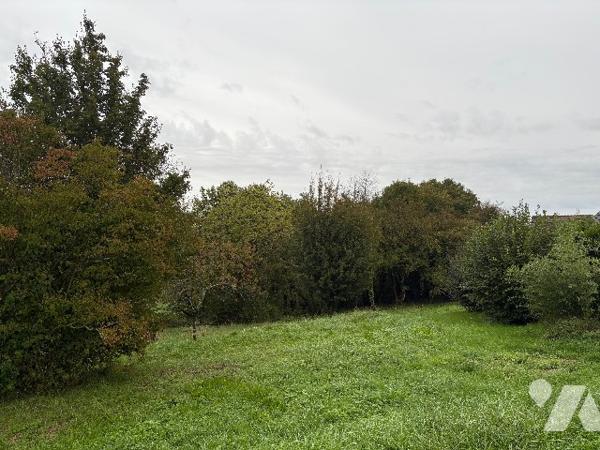 Terrain constructible à CHEMAUDIN ET VAUX (25320)
