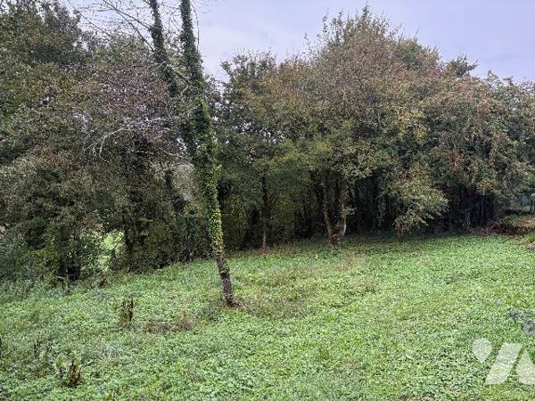 Terrain constructible à CHEMAUDIN ET VAUX (25320)