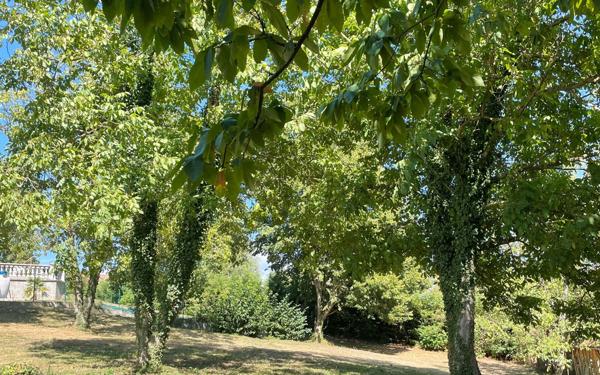 Terrain à vendre    Vasselin