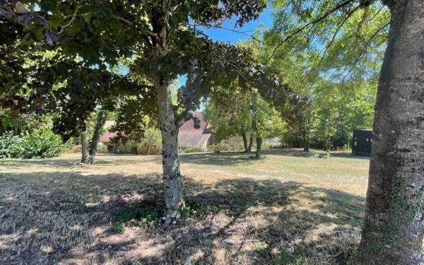 Terrain à vendre    Vasselin