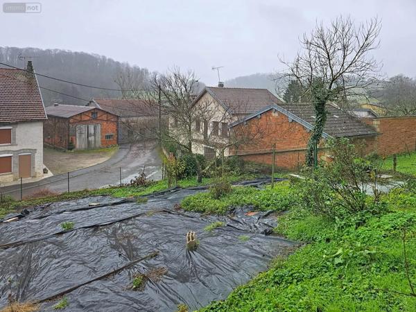 Achat - Maison Val-de-Meuse 52140 3 pièces 101 m 2