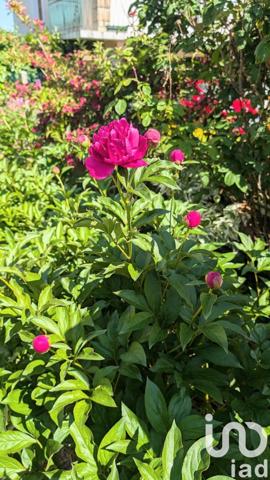 Maison traditionnelle 6 pièces de 135 m² à Cesson-Sévigné (35510)