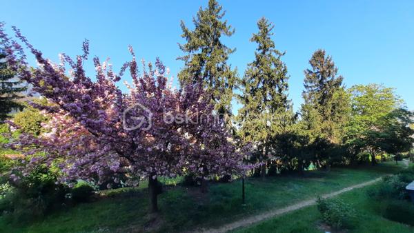 Appartement de 50 m²