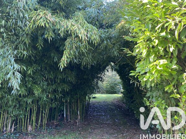 Maison à vendre 6 pièces 136 m² Vigneux-de-Bretagne