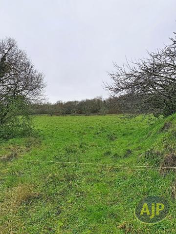 Vente terrain Saint Herblain : 129 840 € - AJP Immobilier Saint Herblain