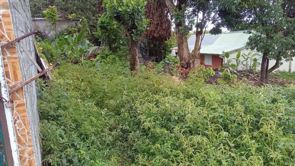 Terrain à Batir à vendre à Bras-Panon à la Réunion (97412), ref :