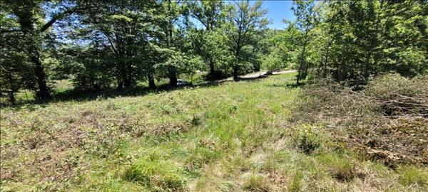 Terrain à vendre |  Nonards |  4560 m²