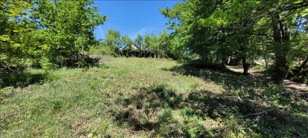 Terrain à vendre |  Nonards |  4560 m²