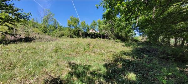 Terrain à vendre |  Nonards |  4560 m²