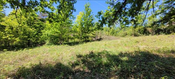 Terrain à vendre |  Nonards |  4560 m²