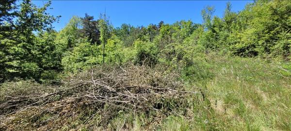 Terrain à vendre |  Nonards |  4560 m²