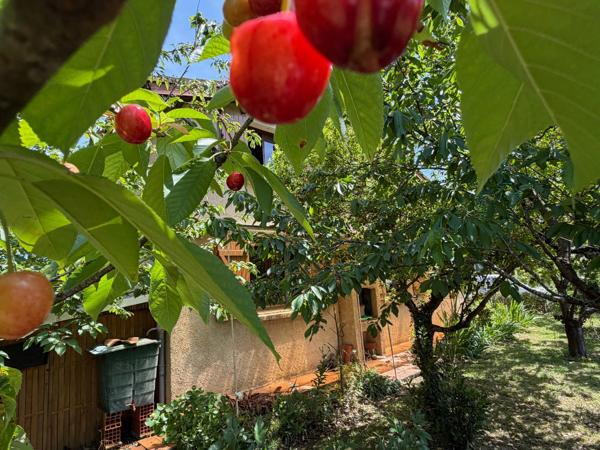 Maison à vendre 6 pièces MANCIET (32)