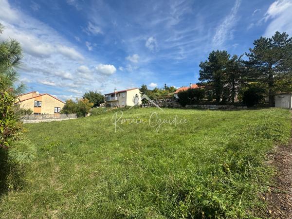 Saint-Georges-de-Luzençon (12100) TERRAIN À BÂTIR DE 1000 M2