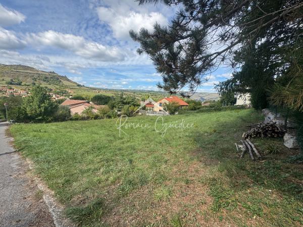 Saint-Georges-de-Luzençon (12100) TERRAIN À BÂTIR DE 1000 M2