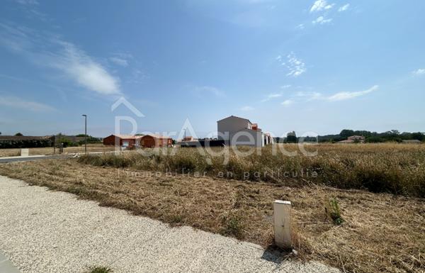 Terrain Viabilisé et Libre de Constructeur