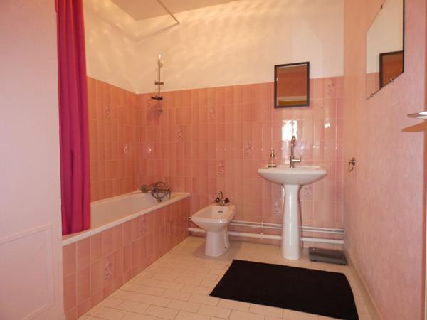 APPARTEMENT T1 BIS A VENDRE ROMORANTIN