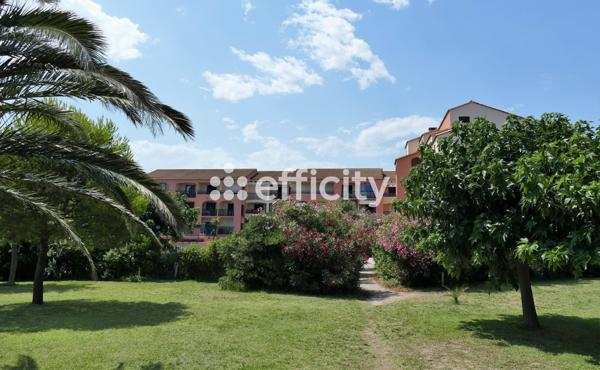 Appartement 3 pièces - 36 m² Exclusivité efficity