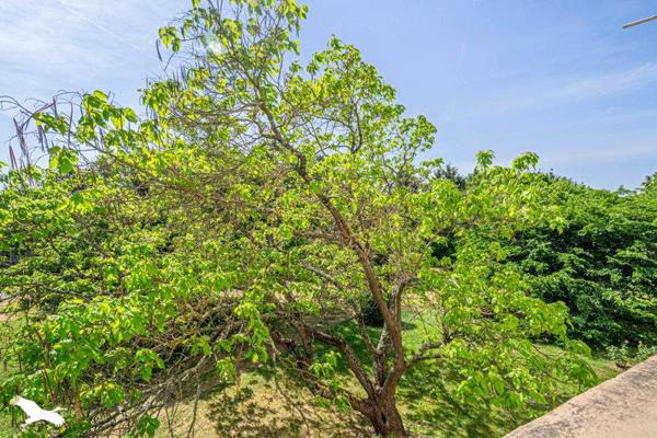 Appartement à vendre |  Le Bouscat |  4 pièces | 67 m²