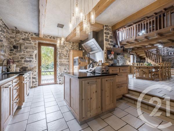 Maison à vendre  10 pièces - 465 m2 MIEUSSY - 74