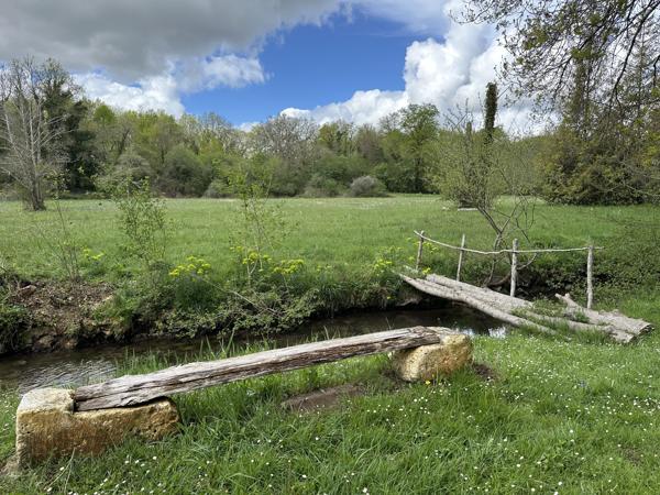 Maison à vendre à La Tour-Blanche-Cercles (24320) - Dordogne