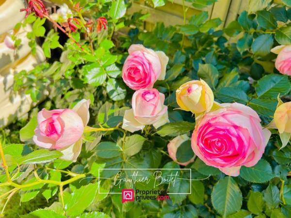 Maison Coulommiers même 4 pièce(s) 80 m2