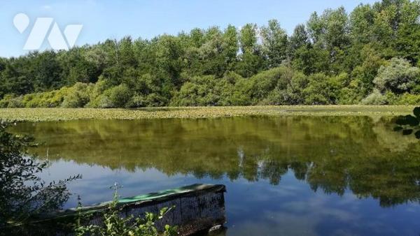Etang et Bois -  HARLY