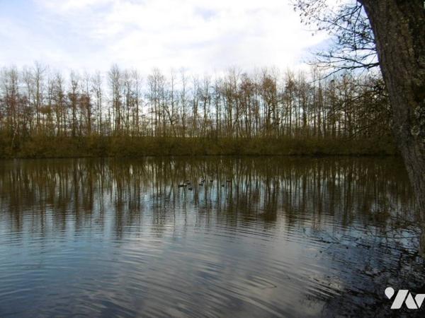 Etang et Bois -  HARLY