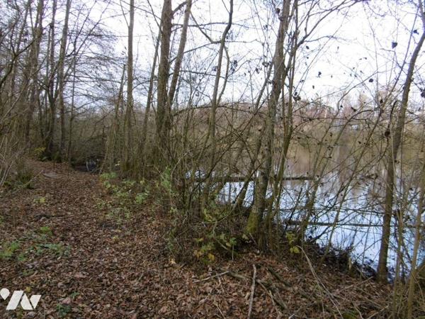 Etang et Bois -  HARLY