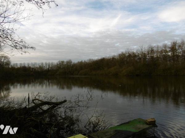 Etang et Bois -  HARLY