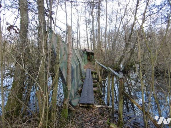 Etang et Bois -  HARLY
