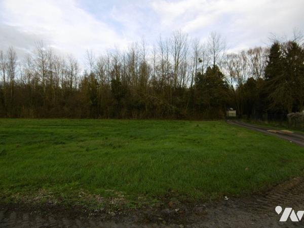 Etang et Bois -  HARLY