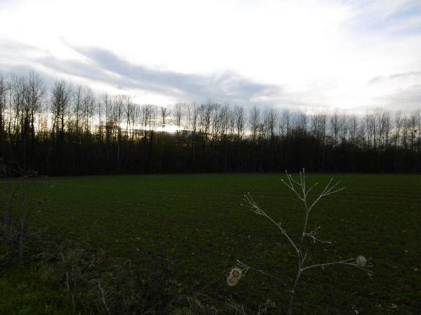 Etang et Bois -  HARLY