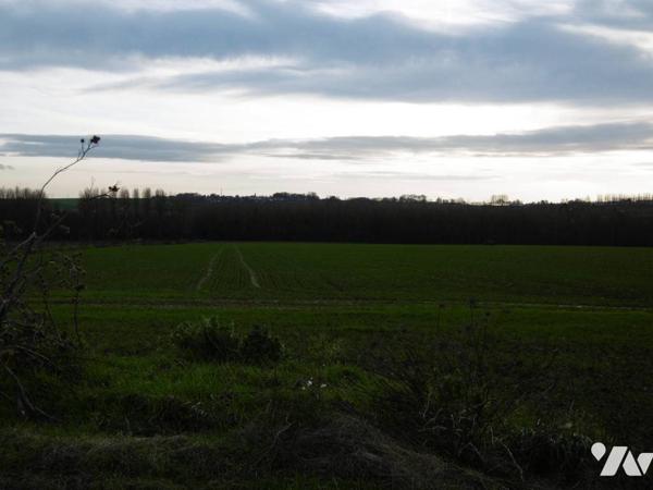 Etang et Bois -  HARLY