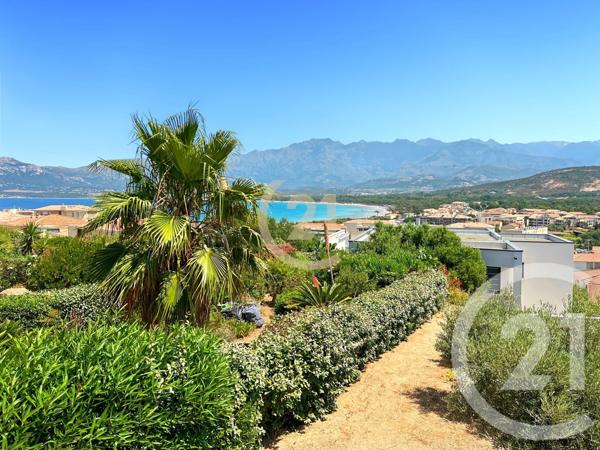 Maison à vendre  4 pièces - 88,36 m2 CALVI - 202