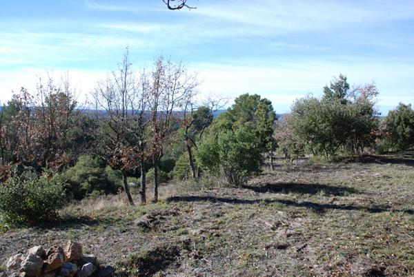 A VENDRE EN EXCLUSIVITE ! Beau terrain plat de 1457m² à BEAUDINARD SUR VERDON