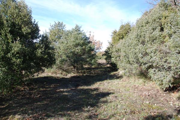 A VENDRE EN EXCLUSIVITE ! Beau terrain plat de 1457m² à BEAUDINARD SUR VERDON