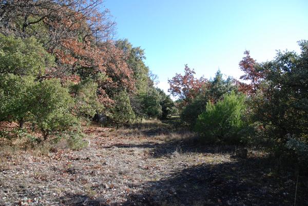 A VENDRE EN EXCLUSIVITE ! Beau terrain plat de 1457m² à BEAUDINARD SUR VERDON